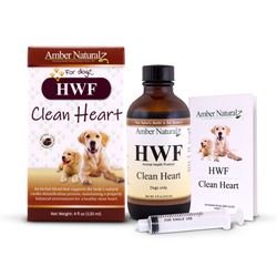 HWF - Clean Blood Detox